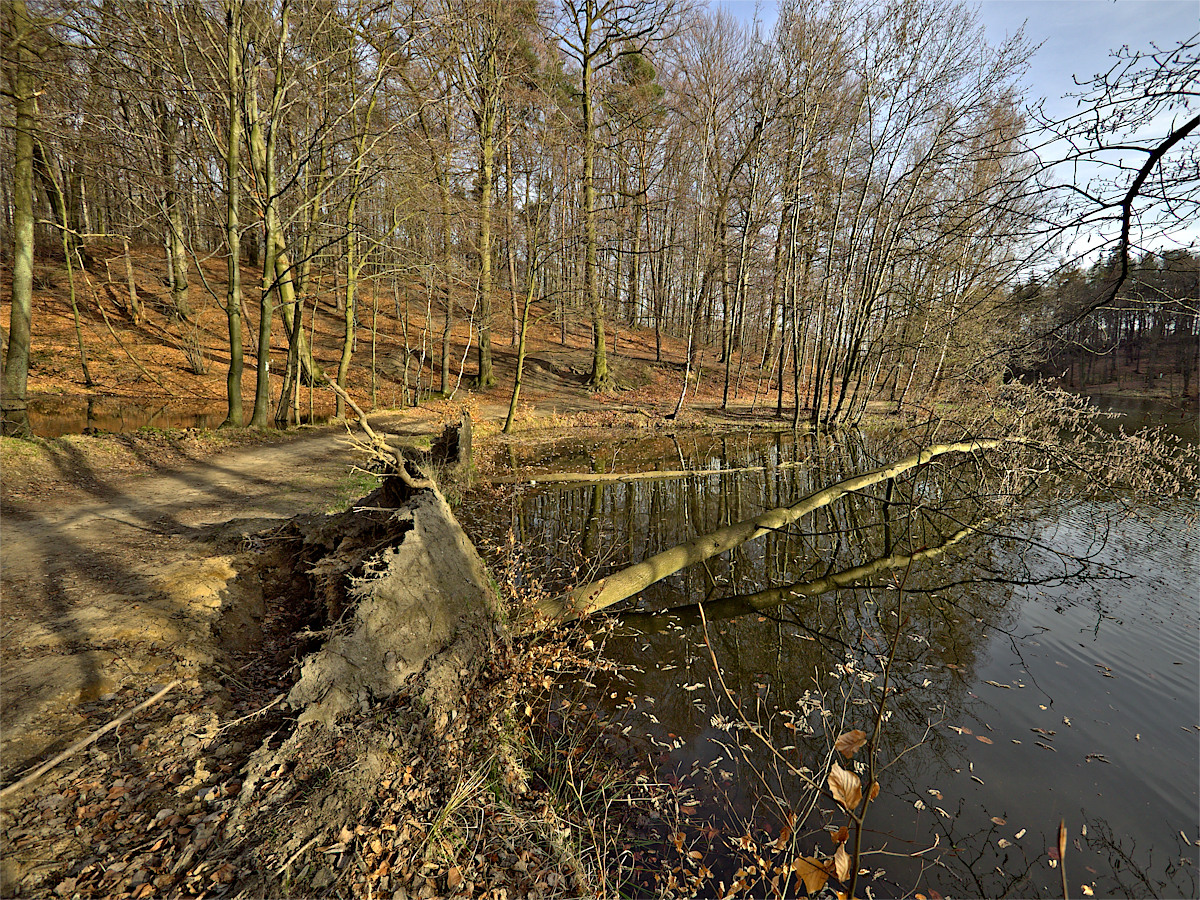 Nazwa:  03.jpg
Wyświetleń: 365
Rozmiar:  823,2 KB