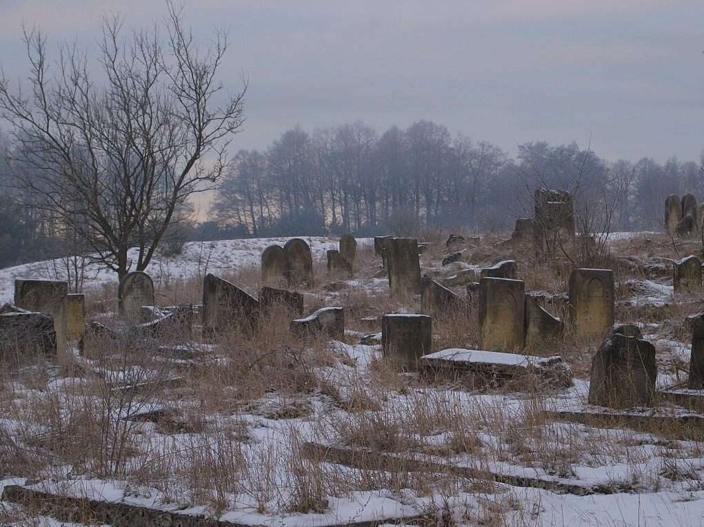 Kliknij obrazek, aby uzyskać większą wersję

Nazwa:	19012016_KK195001.JPG
Wyświetleń:	118
Rozmiar:	581,3 KB
ID:	167656