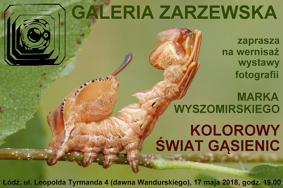 Nazwa:  plakat2.jpg
Wyświetleń: 126
Rozmiar:  277,5 KB