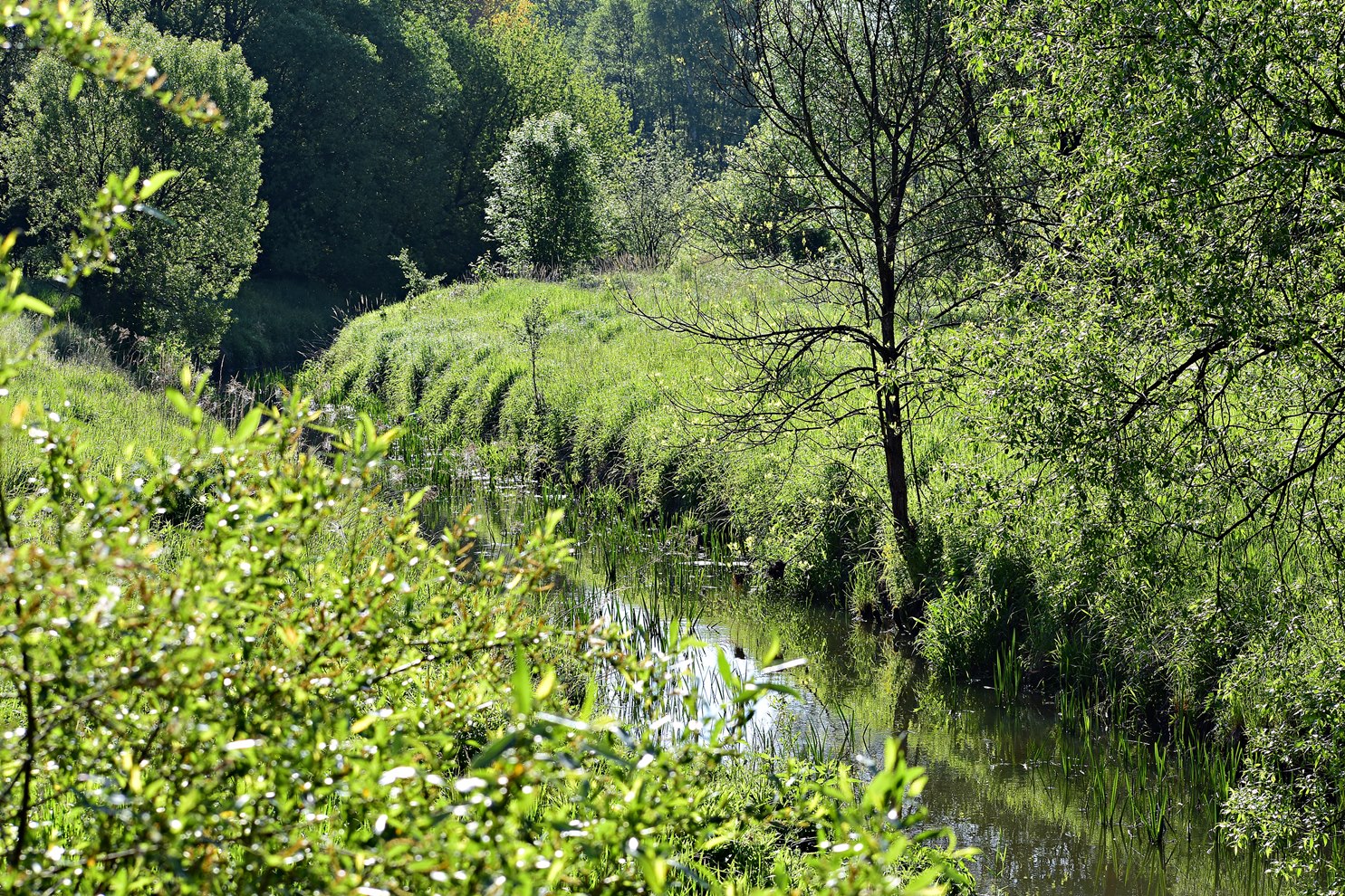 Nazwa:  001 (3).JPG
Wyświetleń: 109
Rozmiar:  843,2 KB