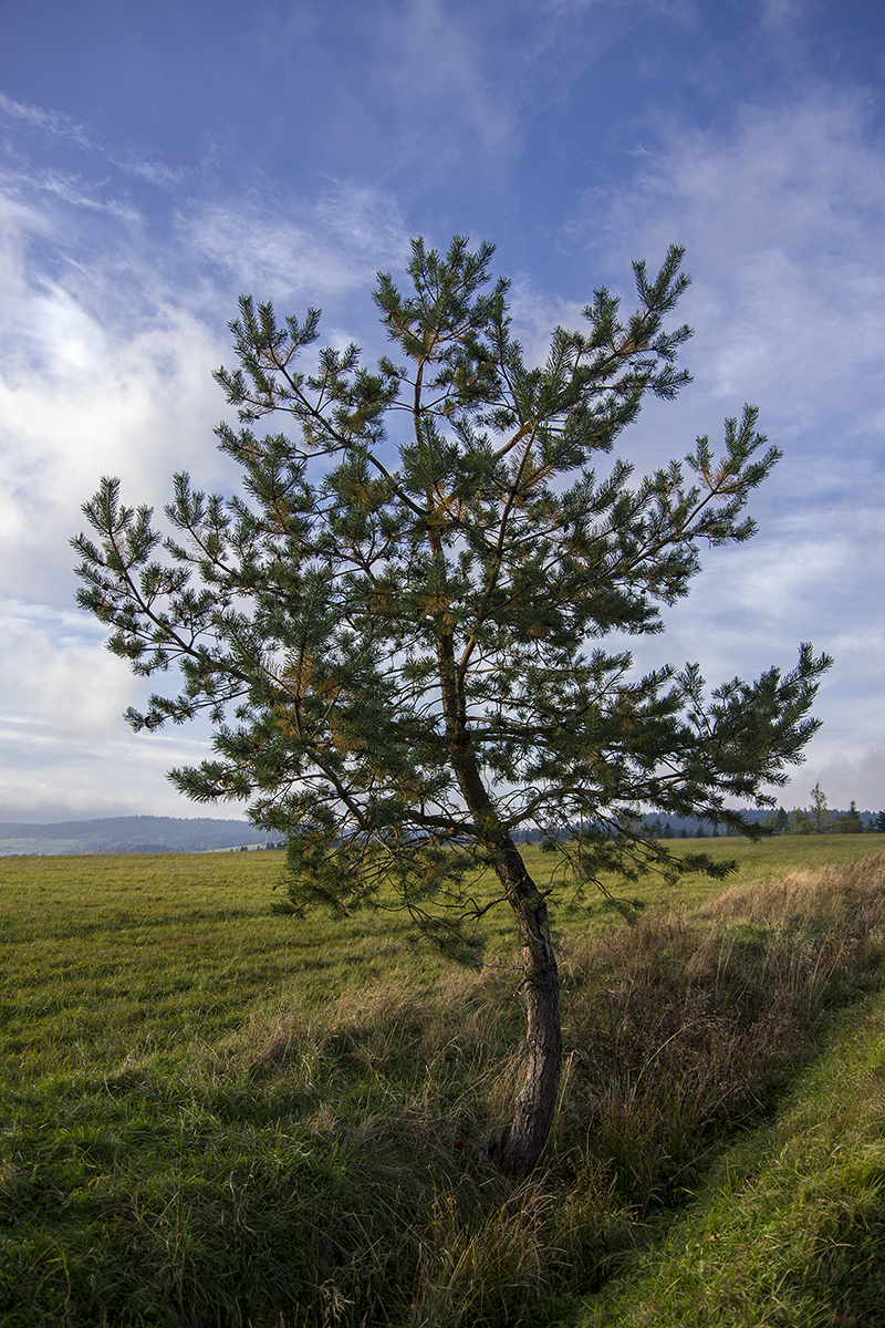 Nazwa:  p2614a.jpg
Wyświetleń: 138
Rozmiar:  817,5 KB