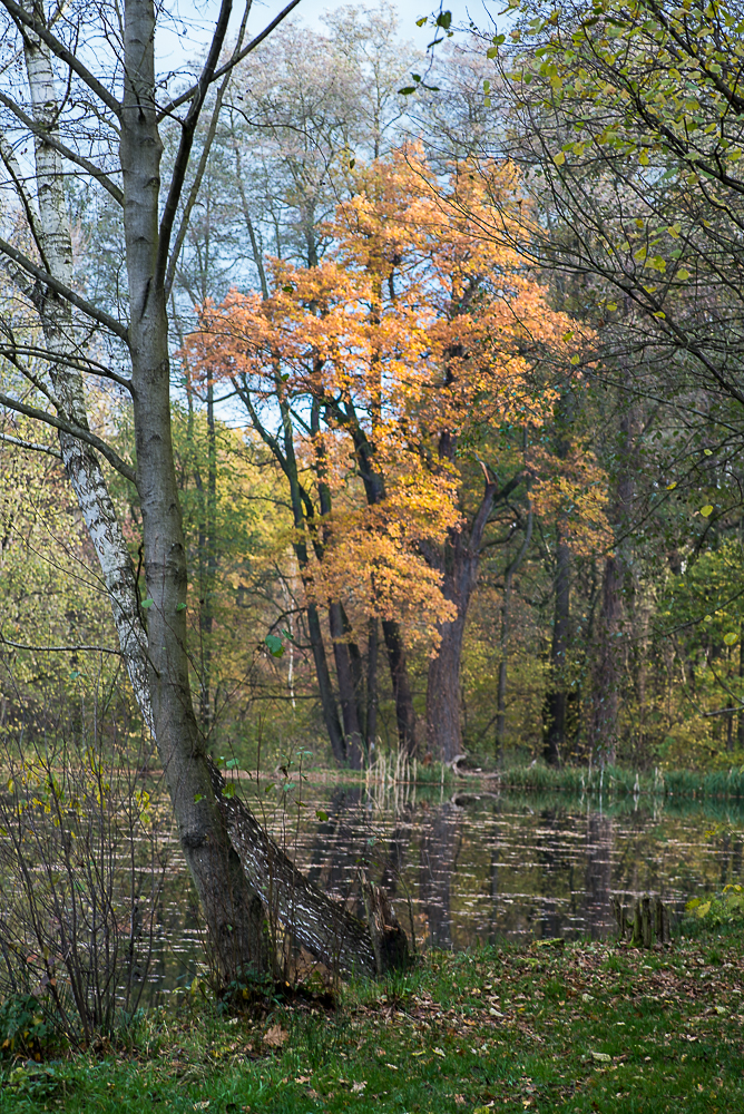 Nazwa:  Of-475.jpg
Wyświetleń: 191
Rozmiar:  1,07 MB