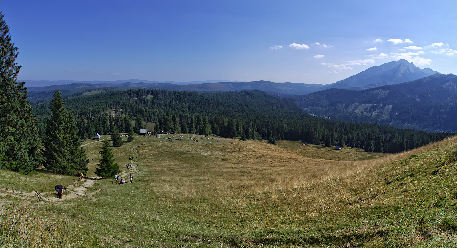 Kliknij obrazek, aby uzyskać większą wersję

Nazwa:	hugin11.jpg
Wyświetleń:	777
Rozmiar:	619,9 KB
ID:	166821