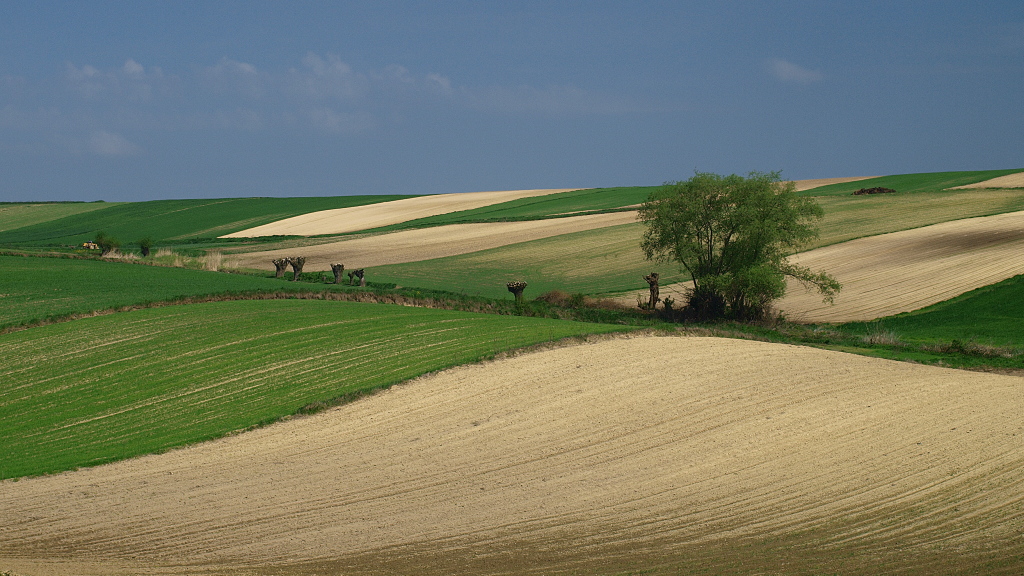 Kliknij obrazek, aby uzyskać większą wersję

Nazwa:	05052016_KK056783.1.1.jpg
Wyświetleń:	93
Rozmiar:	368,9 KB
ID:	173726