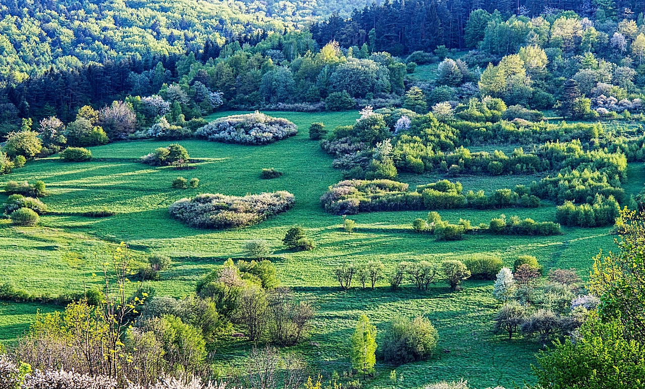 Nazwa:  08.jpg
Wyświetleń: 375
Rozmiar:  1,49 MB