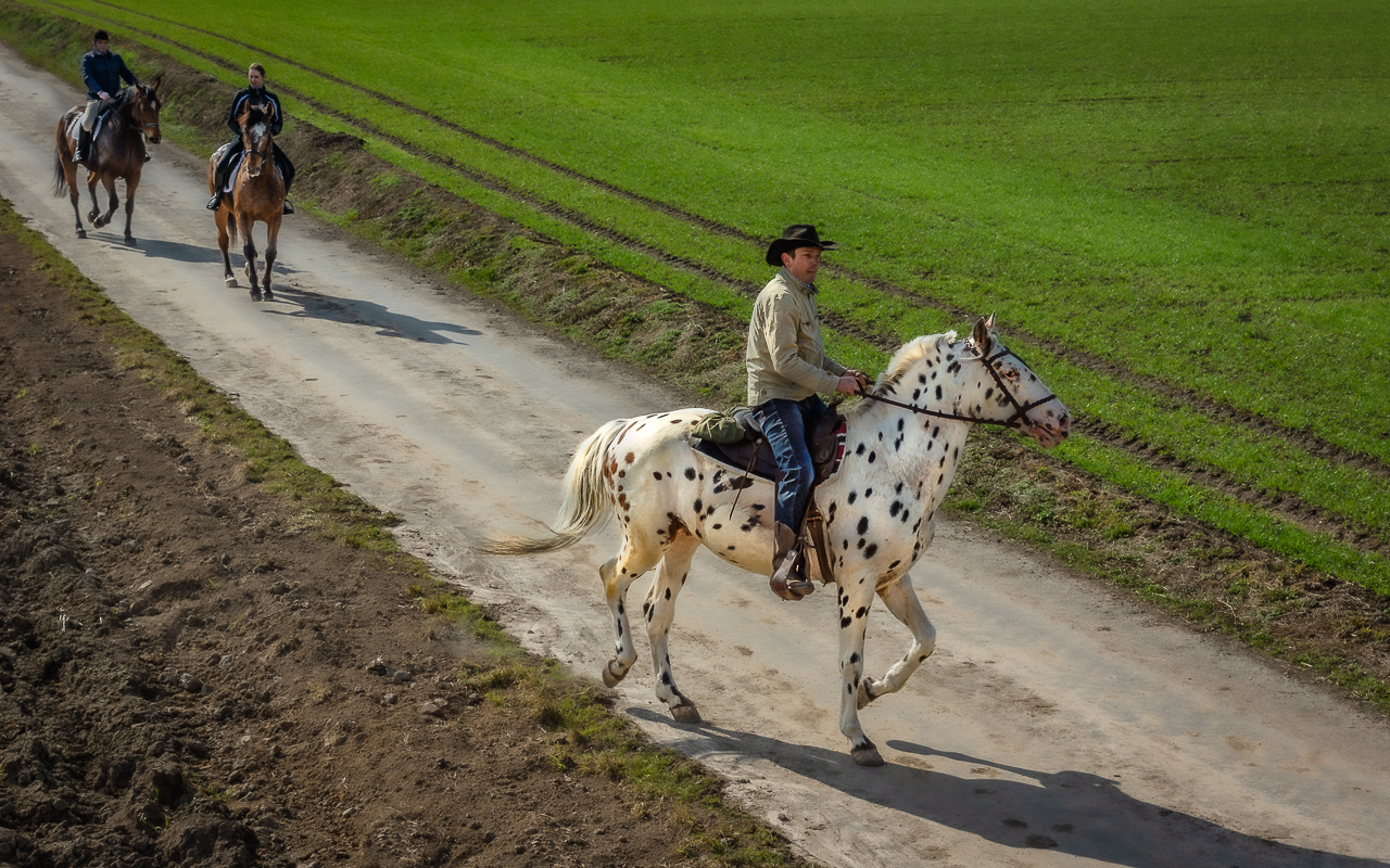 Nazwa:  04.JPG
Wyświetleń: 458
Rozmiar:  1,07 MB