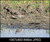 Kliknij obrazek, aby uzyskać większą wersję

Nazwa:	_5070071.jpg
Wyświetleń:	42
Rozmiar:	846,1 KB
ID:	173936