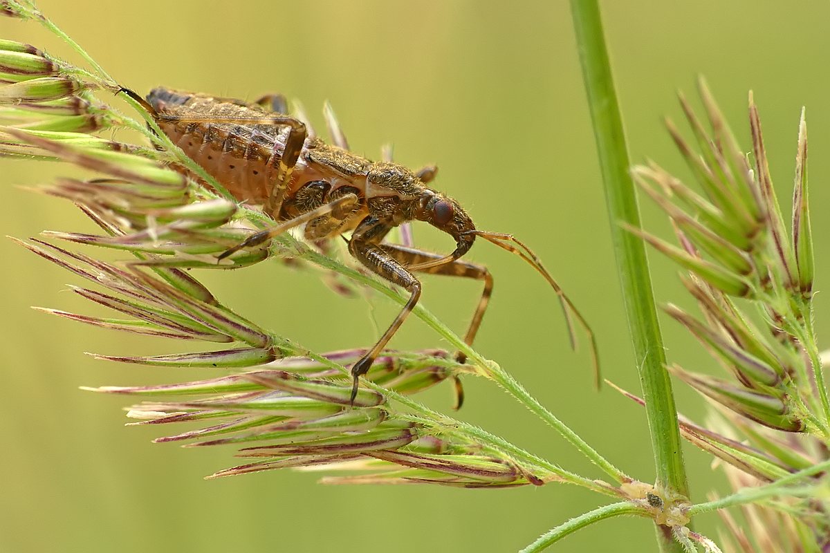 Nazwa:  zazartka39265cf.jpg
Wyświetleń: 213
Rozmiar:  151,9 KB