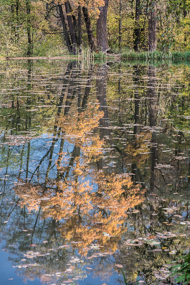 Nazwa:  Of-476.jpg
Wyświetleń: 190
Rozmiar:  1,07 MB